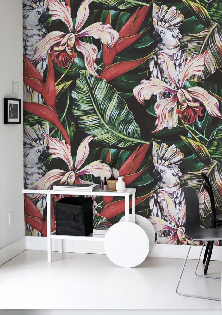 Coloray Fototapete 208x146 cm Vlies-Fototapete - Papageien Vogel Wild Fauna Dschungel