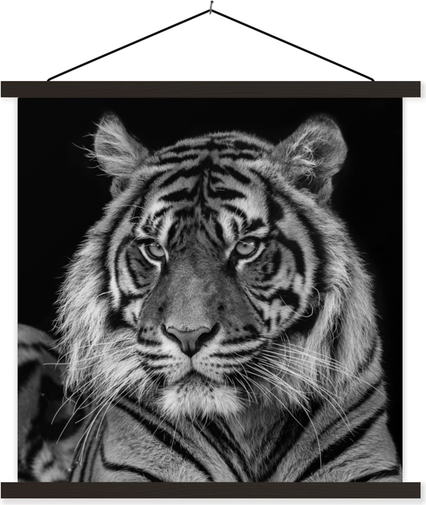 MuchoWow Textilposter Sumatra-Tiger auf schwarzem Hintergrund 60x60 cm mit schwarzem Rahmen - Posteraufhänger