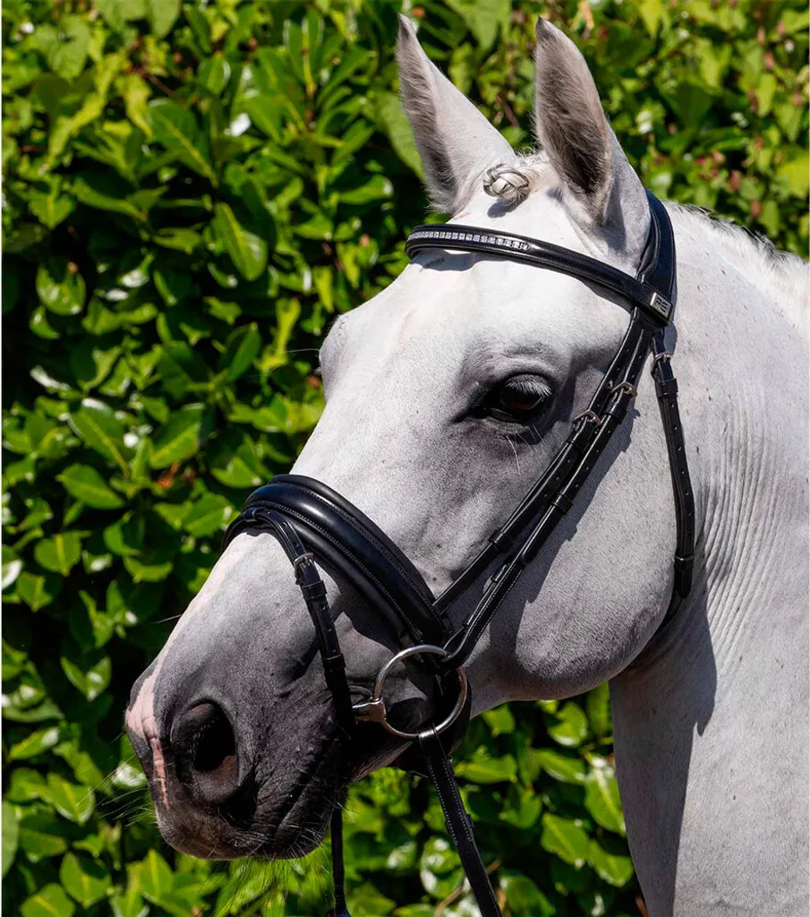 Bride anatomique Castello Premier Equine Full avec muserolle matelassée