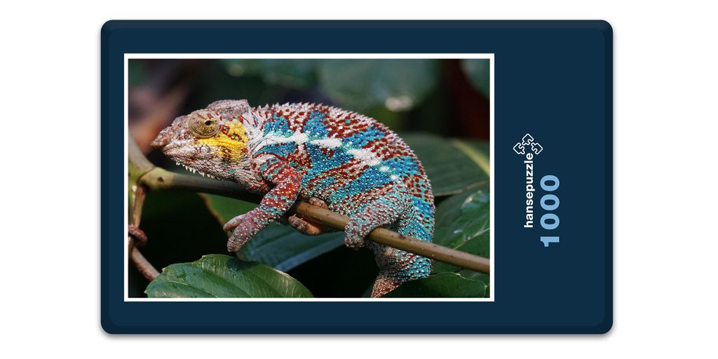 hansepuzzle 14026 - Chamäleon Puzzle, 1000 Teile, Tierwelt, 60,0 x 46,0cm mit hochwertiger Aufbewahrung, Kartonbox und wiederverschließbarem Beutel
