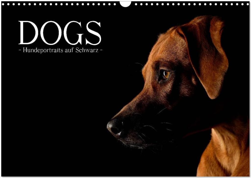Dogs (Wandkalender 2026 DIN A3 quer), CALVENDO Monatskalender