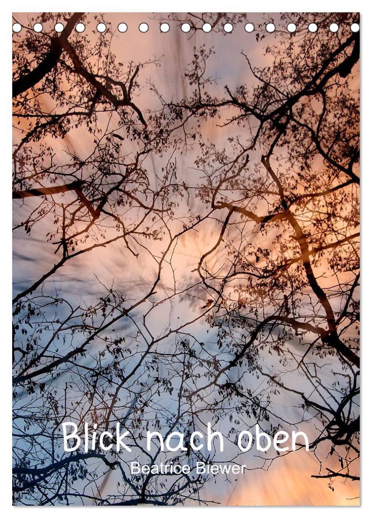 Blick nach oben (Tischkalender 2027 DIN A5 hoch), CALVENDO Monatskalender