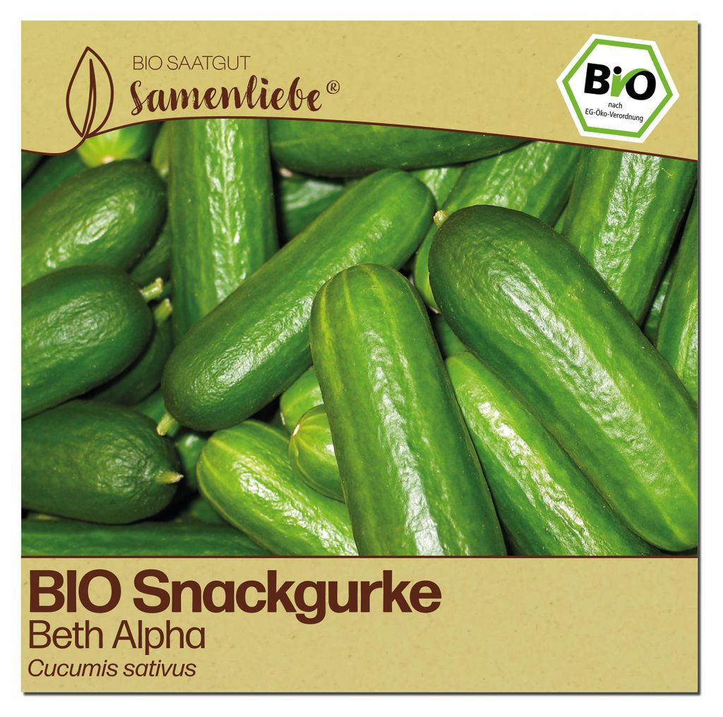 Samenliebe  Gurke Samen | Beth Alpha - glatte & mini & Produktbild 