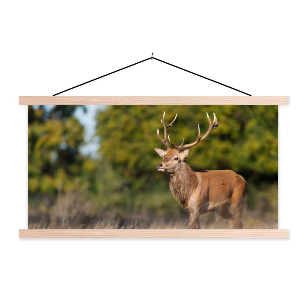 MuchoWow Textilposter Tiere - Hirsche - Geweihe - Waldtiere - Natur 60x30 cm mit holzfarbenen Rahmen - Dekoration