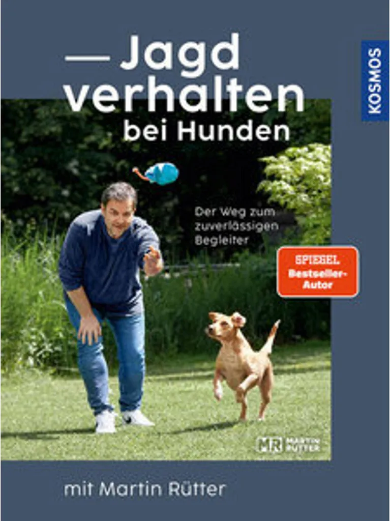 Jagdverhalten bei Hunden : Solution pour Chien qui Fugue en Forêt