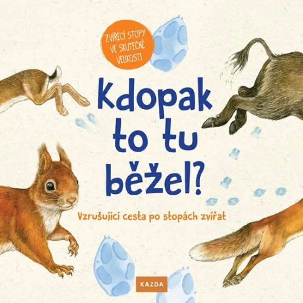 Album illustré sur les traces des animaux - Éveil nature Svenja Ernsten