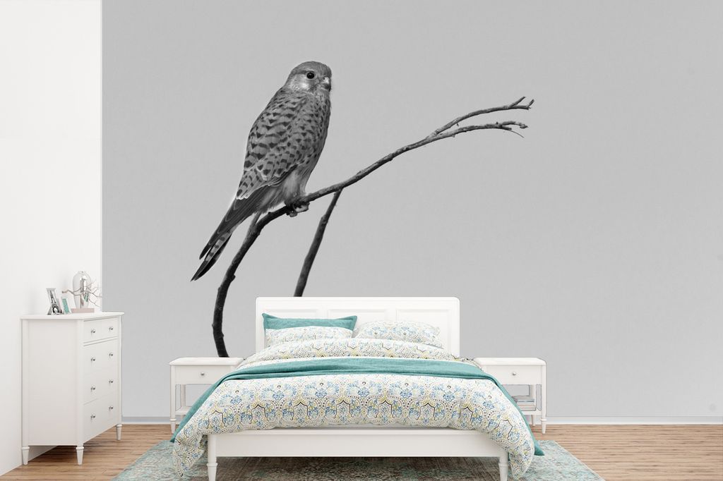 MuchoWow Fototapete für Wohnzimmer oder Schlafzimmer Wandtapete Vinyl Motivtapete Turmfalke hoch oben im Baum - schwarz und weiß - 390x260 cm -...