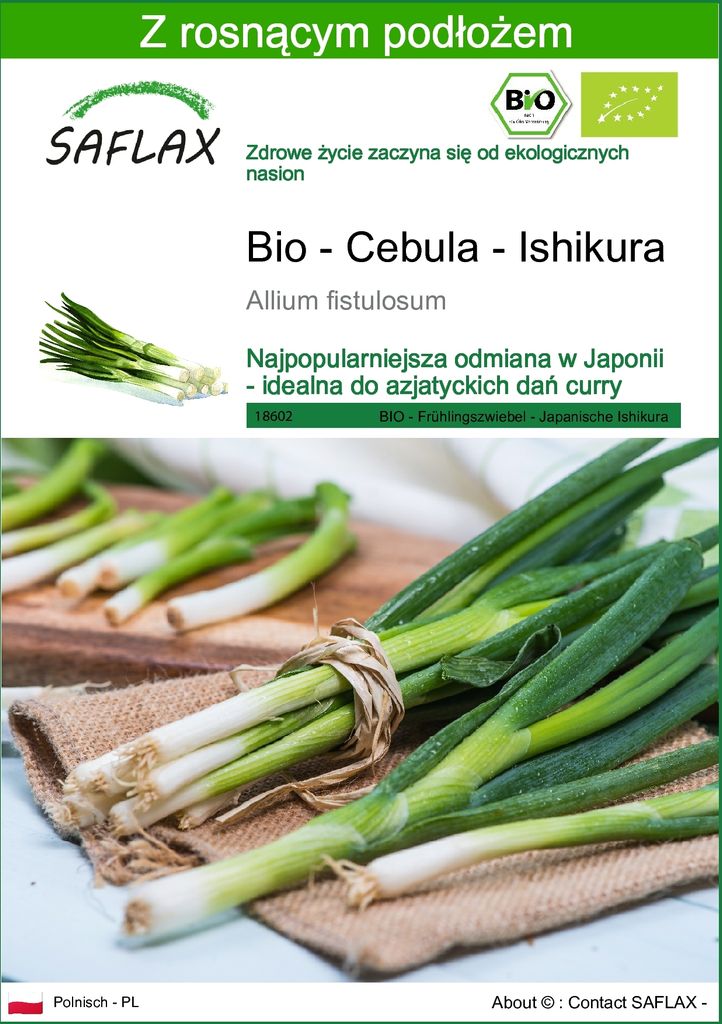 SAFLAX - Bio - Cebula - Ishikura - 150 Nasiona - Z podłożem Zdjęcie produktu 