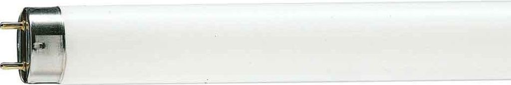 Leuchtstofflampe T8 Röhre 33cm 10W/865 G13 280lm Tageslicht Produktbild 