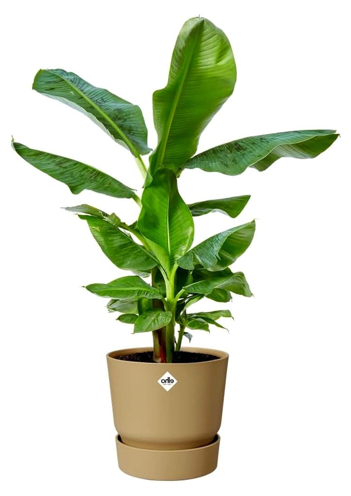 Greenville Rund 25 Blumentopf für Außen - Selbstbewässerungstopf - 100% recyceltes Plastik - Ø 24,5 x H 23,3 cm - Beige/Goldener Sand
