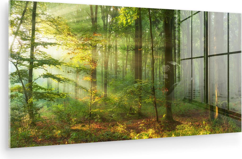 MuchoWow Glasbilder - Bilder auf Wandbild - Foto auf Glas Sonne - Wald - Bäume - Natur - Herbst 40x20 cm Wanddekoration aus Glas - Acrylglasbild -...