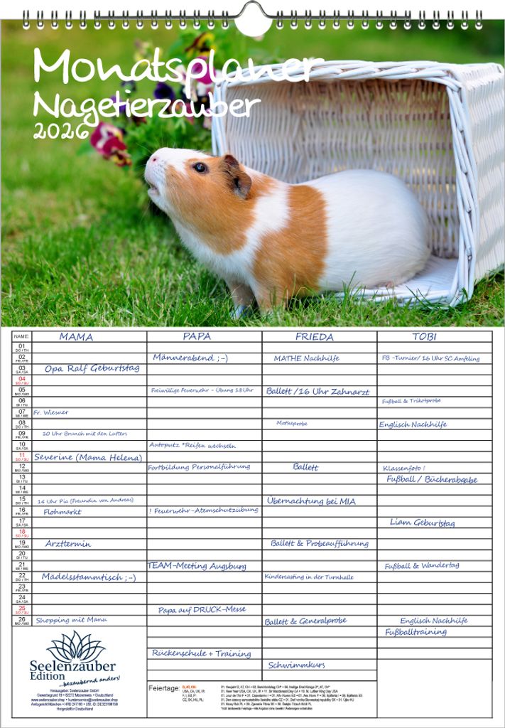 Nagetierzauber Planer Familienplaner 4 Spaltenplaner DIN A3 Kalender für 2026 Hamster Ratte Maus Chinchilla Hase - Seelenzauber