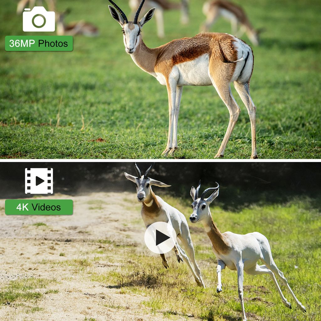 WiFi kamera pro divokou zvěř 4K 36MP BT App Control Lovecká Obrázek produktu 8