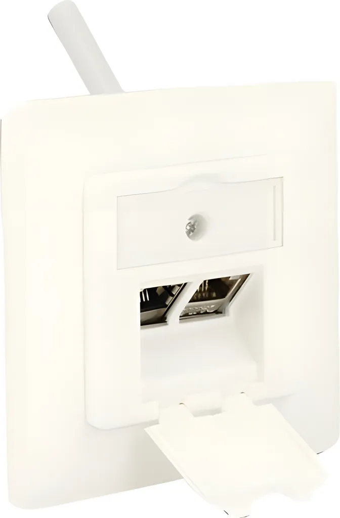 DELOCK Boîtier de raccordement Keystone 2 ports blanc compact 86202