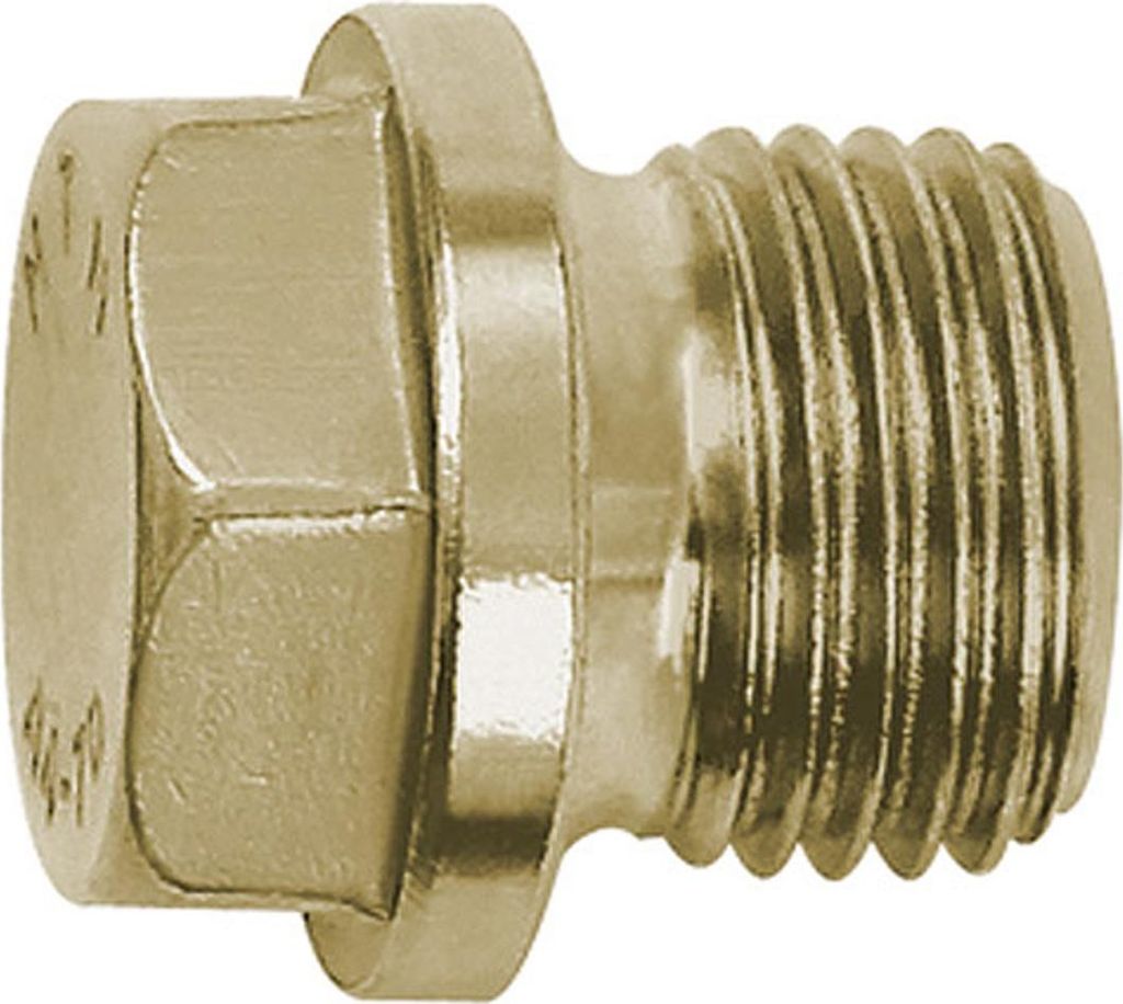 Riegler Verschlussschraube, Außensechskant, Bund, G 1/8, SW 10, ES 1.4571