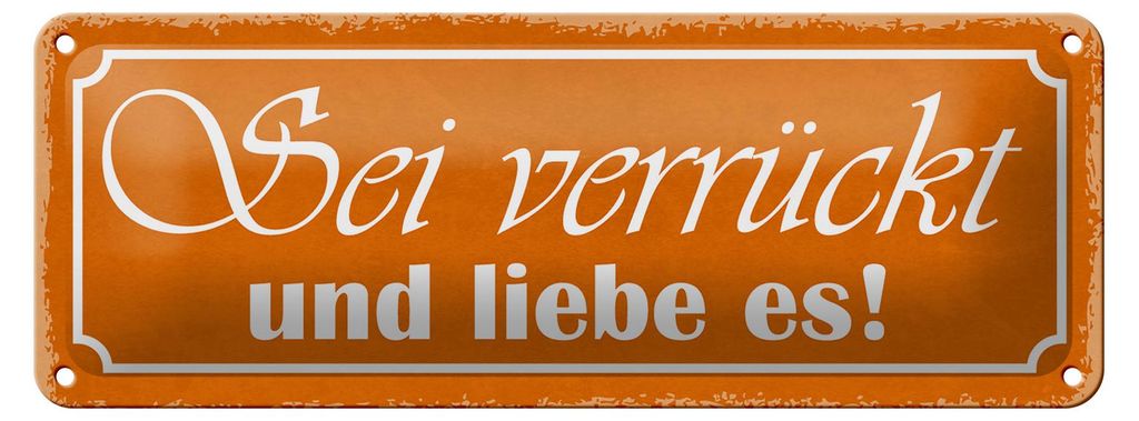 Blechschild Spruch 27x10cm sei verrückt und liebe es Dekoration
