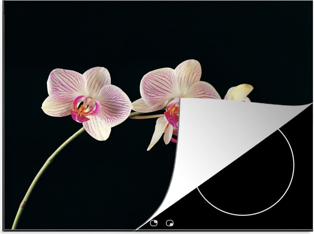 KitchenYeah Herdabdeckplatte Orchidee - Blumen - Schwarz - Rosa - Knöpfe , 57x51cm, Küche Deko, Glaskeramikfeld Herdabdeckung, Abdeckplatte fù...