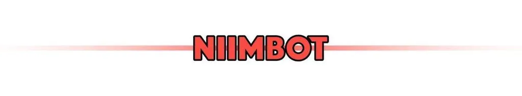 Niimbot H1S Stampante Etichette Wireless: Design Retro e Precisione - 4