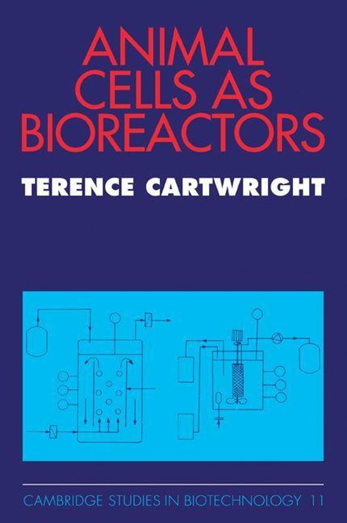 Animal Cells as Bioreactors