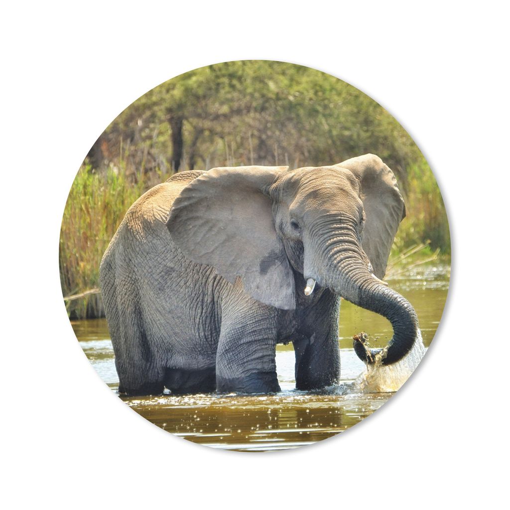 MuchoWow Mauspad Mousepad Elefant - Wasser - Tiere - Natur 30x30 cm - Mousepads - Maus Mat - Pad - Mausunterlage - Tischunterlage - Schreibtischm...
