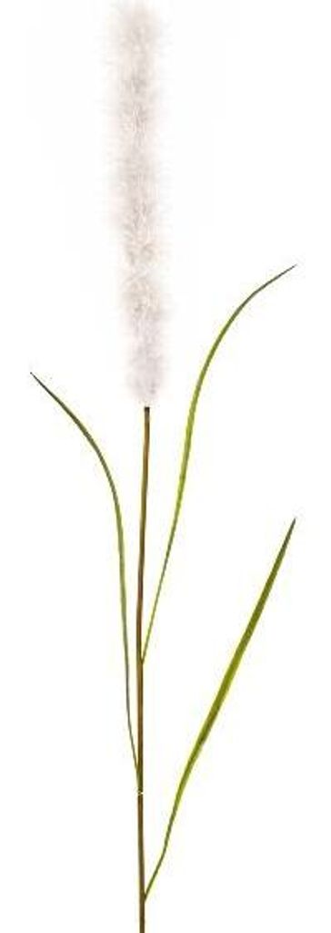 artplants.de Deko Pampasgras Rispe JARME, weiß, 100cm - Künstlicher Graszweig