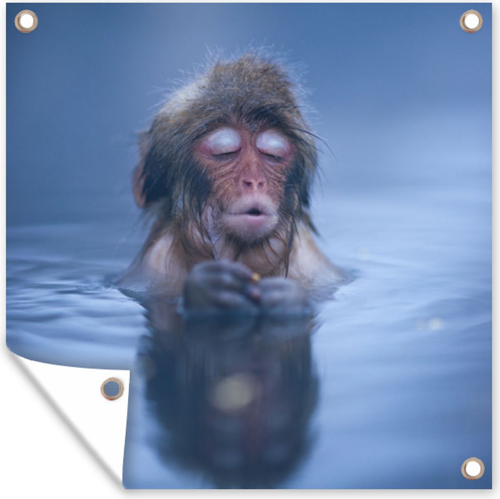 MuchoWow 50x50 cm Outdoor-Poster Gartendeko Sichtschutz Garten Poster für den Garten Wasser - Affe - Spiegelung - Tiere