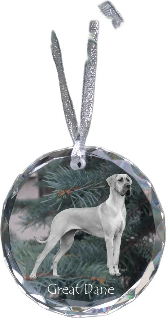 Alano Tedesco Cristallo con Foto Art-Dog - Decorazione Regalo Unica
