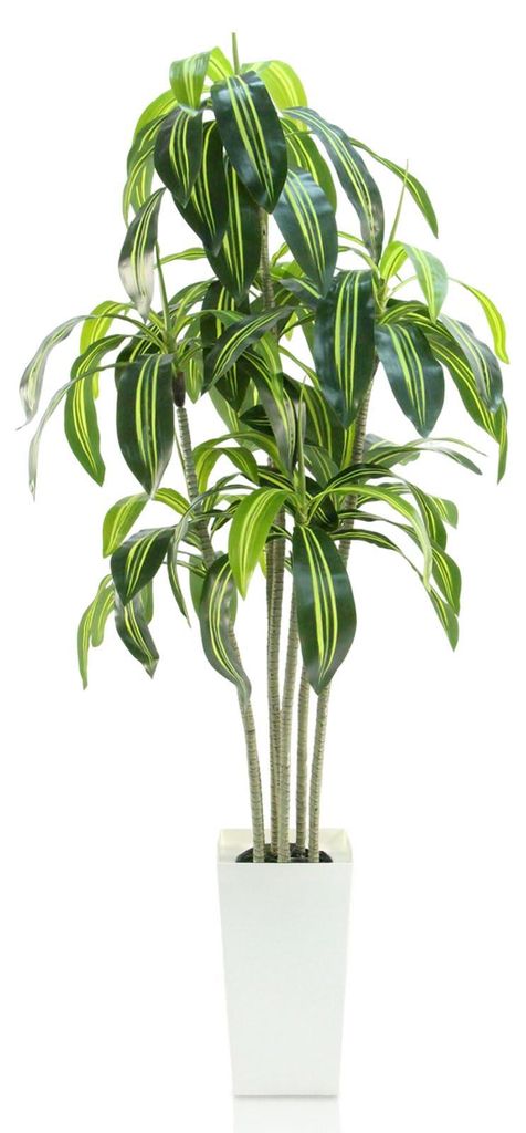 Künstlicher Drachenbaum, 180 cm hoch, im weißen Topf – eine realistische Zimmerpflanze, wetterfest und pflegeleicht, eine künstliche Pflanze f...