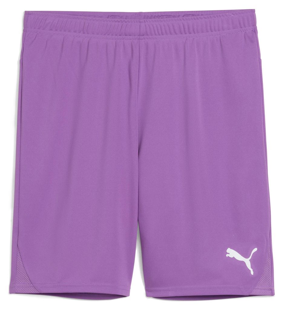 Puma Teamgoal Shorts Herren - Lila
