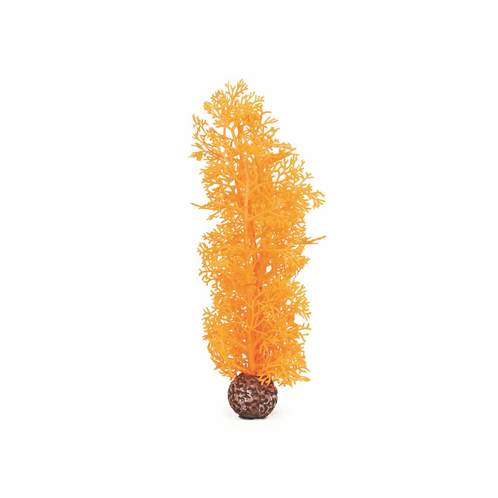 biOrb Hornkoralle mittelgroß orange (46098)