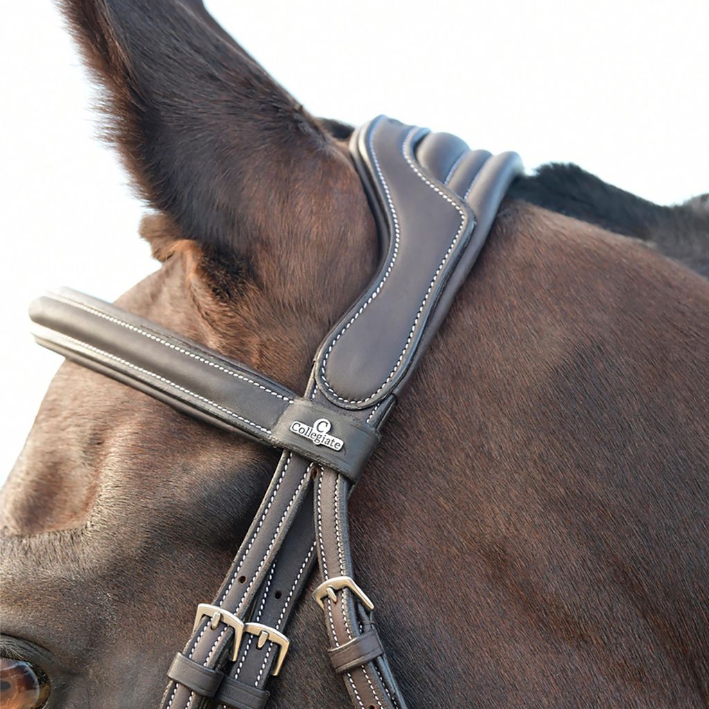 Collegiate - Zaumzeug "Comfitec Opulux" Wattiert, Gesteppt, Leder WB2443 (Pony) (Dunkelbraun)