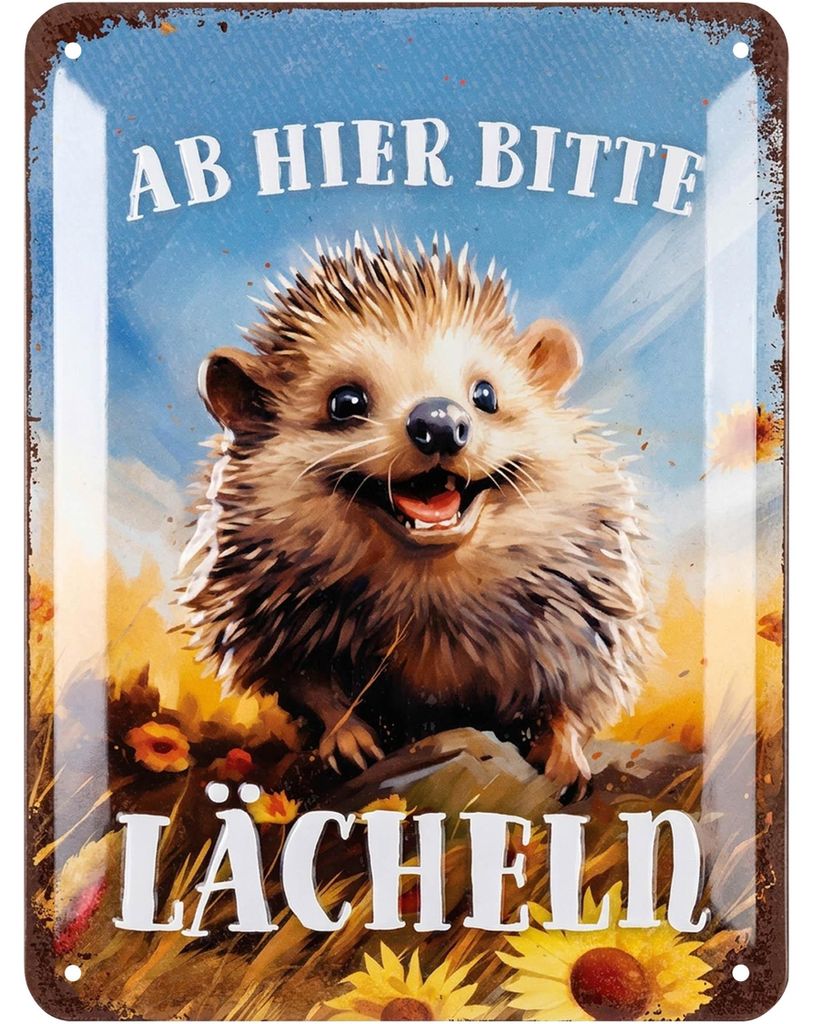LANOLU Retro Blechschild Ab hier lächeln, Blechschilder Produktbild 