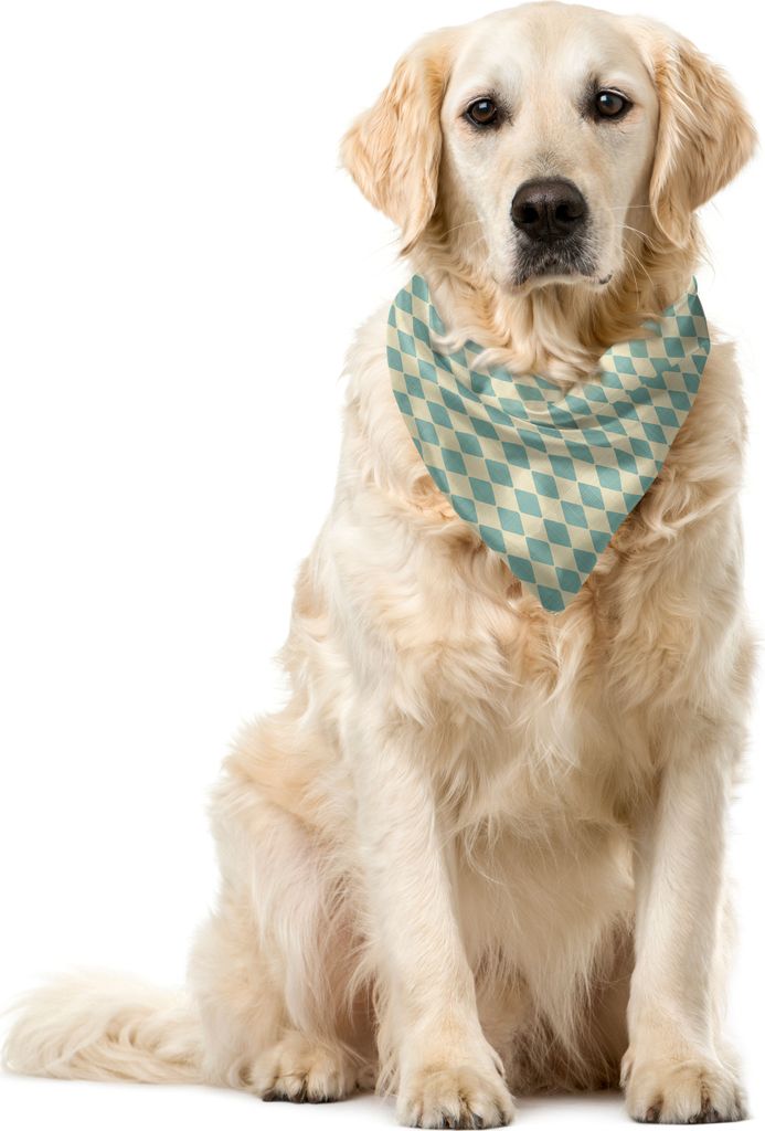 ABAKUHAUS Geometrisch Haustier Bandana, Retro Argyle-Muster, 55x55 cm, Teal und Beige