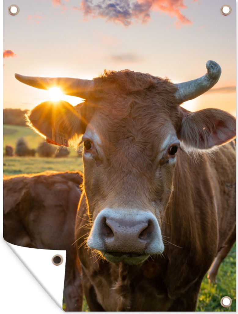 MuchoWow 90x120 cm Outdoor-Poster Gartendeko Sichtschutz Garten Poster für den Garten Kühe - Sonne - Wiese - Landleben