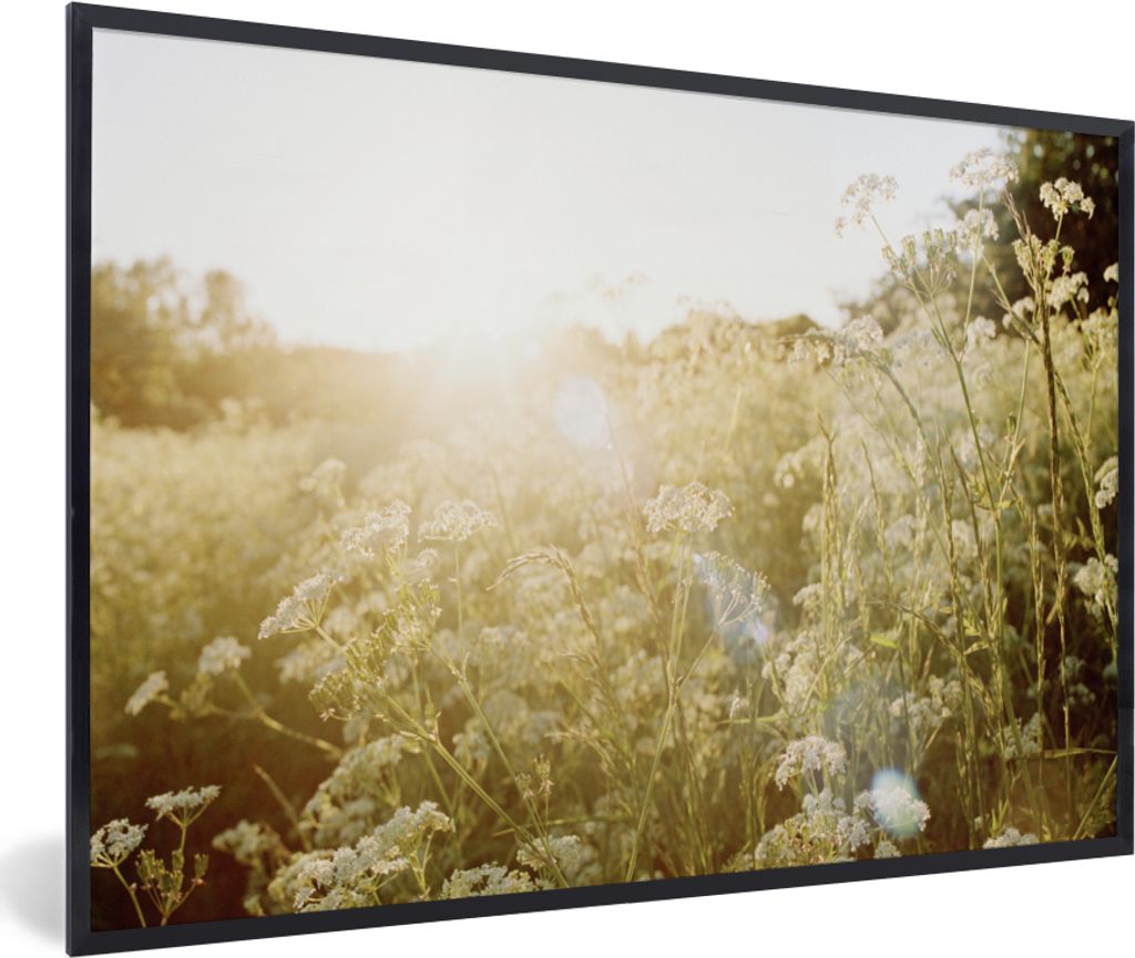 MuchoWow Gerahmtes Poster Blumen - Weiß - Frühling 30x20 cm - Poster mit Schwarzem Bilderrahmen Wandposter Rahmen Foto Bilder - Kunstdruck - Bi...