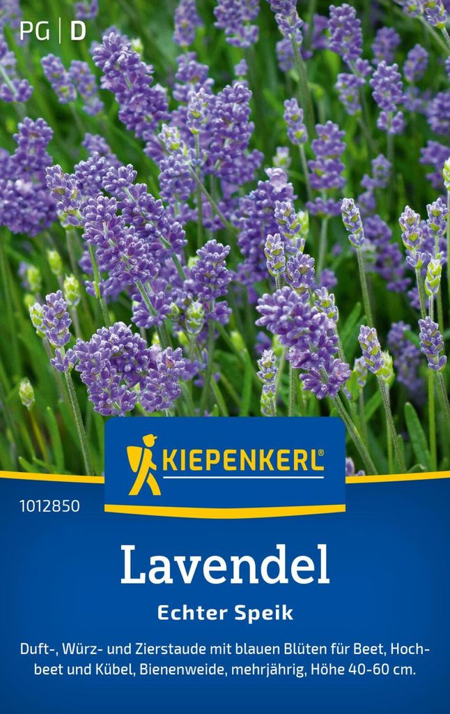 Kiepenkerl Lavendelsamen Echter Speik Lavandula angustifolia 100 Pflanzen