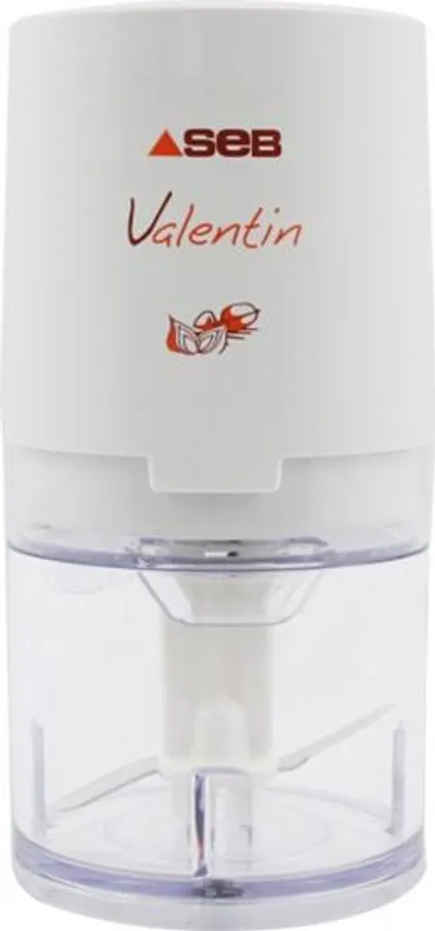 Mini-hachoir Seb Valentin 855306 220W 50g pour hacher ail et herbes
