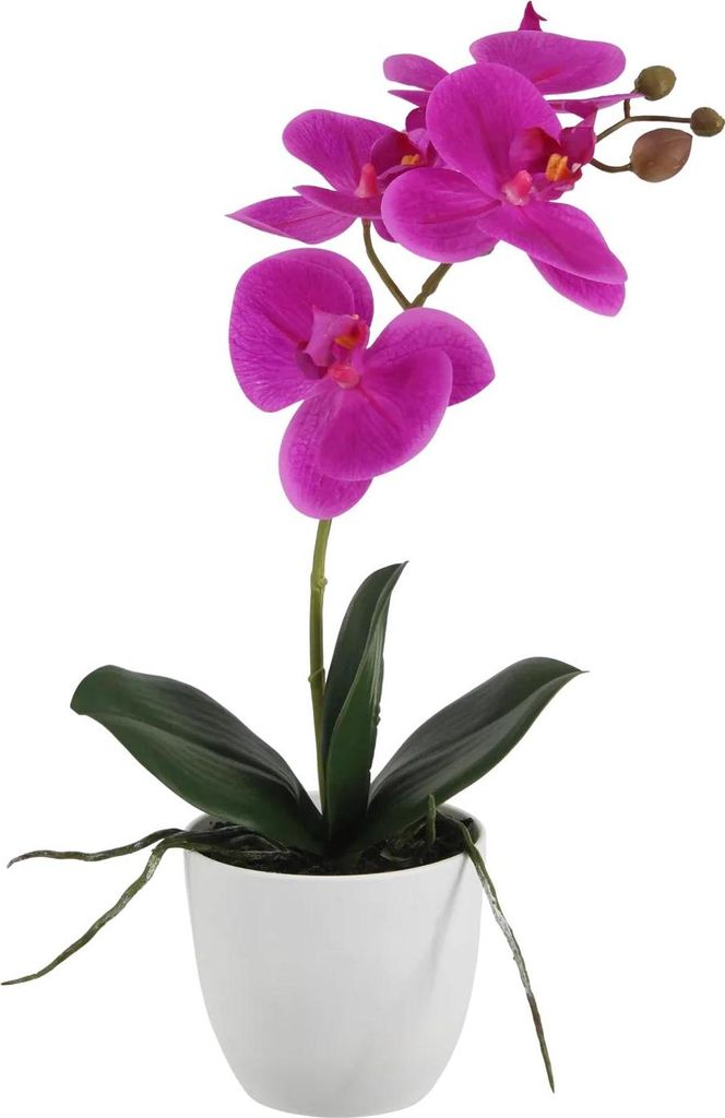 aplanta Künstliche Orchidee - Juan | 36 cm, inkl. Dekotopf, Produktbild 