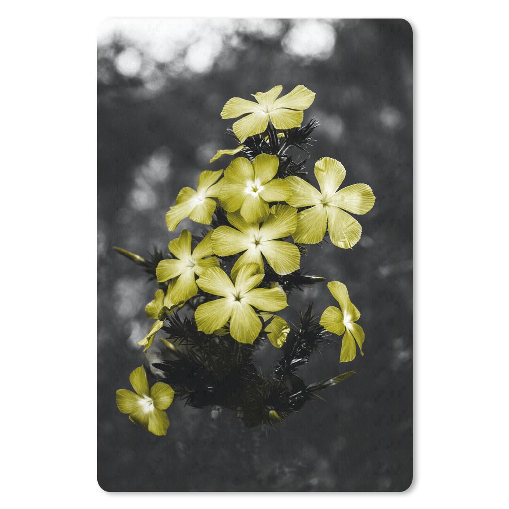 MuchoWow® Mauspad Mousepad Blumen - Gelb - Farben 18x27 cm Produktbild 
