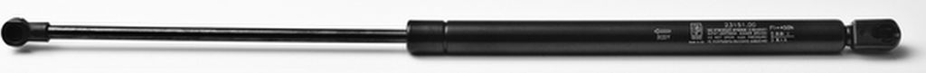 Z456494 Gasfedern SET kompatibel mit SEAT Leon (1M1)