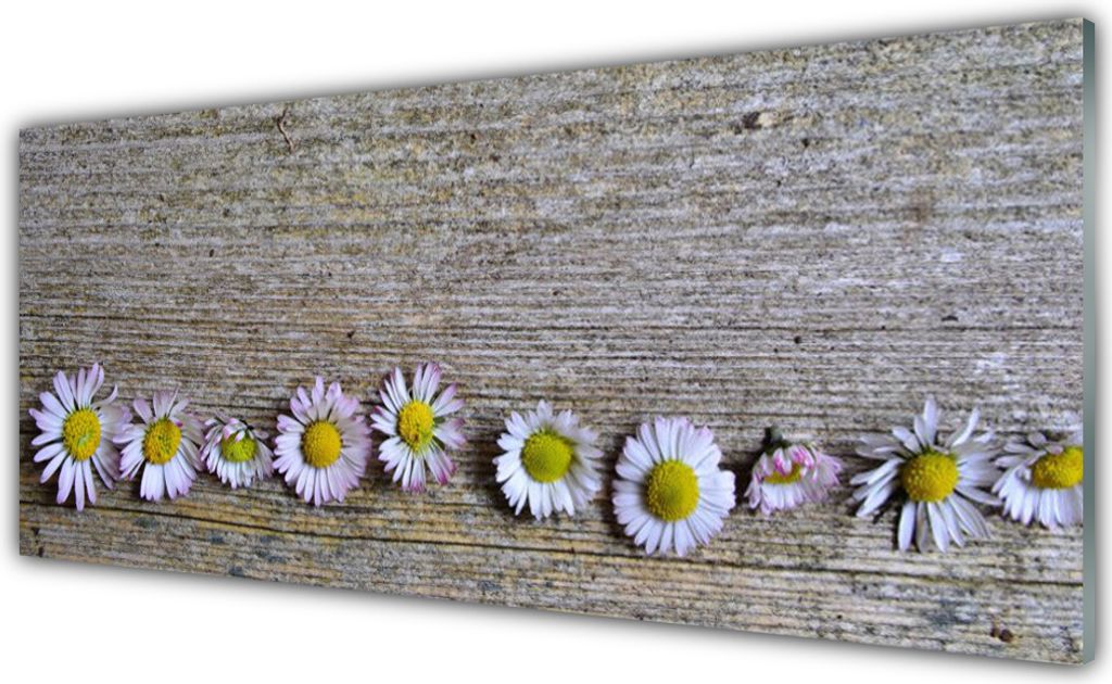 Küchenrückwand aus Glas 125x50cm Spritzschutz Gänseblümchen Pflanzen