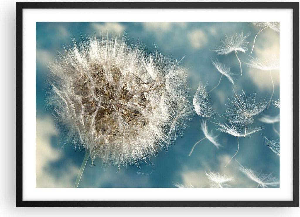 Gerahmtes Poster - Schwarzer Rahmen - Baby Sommer Pflanze - 70x50 cm - Wand Bild - Wanddeko - Wandbilder - Kunstposter - Wandposter - Bilderrahmen ...