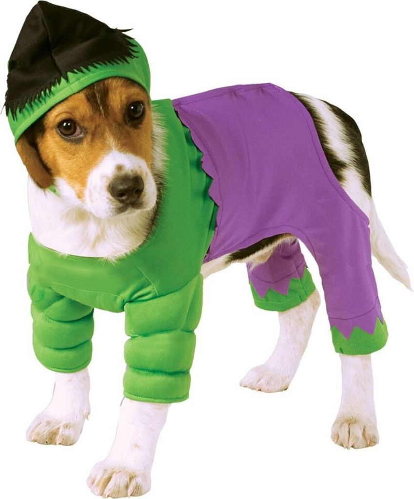 Hulk Hundekostüm Hundegröße: S