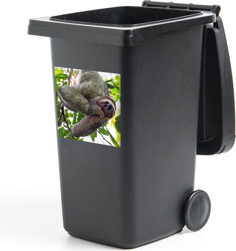 MuchoWow Mülltonnenaufkleber Ein lachendes Faultier hängt in den grünen Bäumen 40x40 cm - Abfall-Aufkleber - Container - für Abfallcontainer