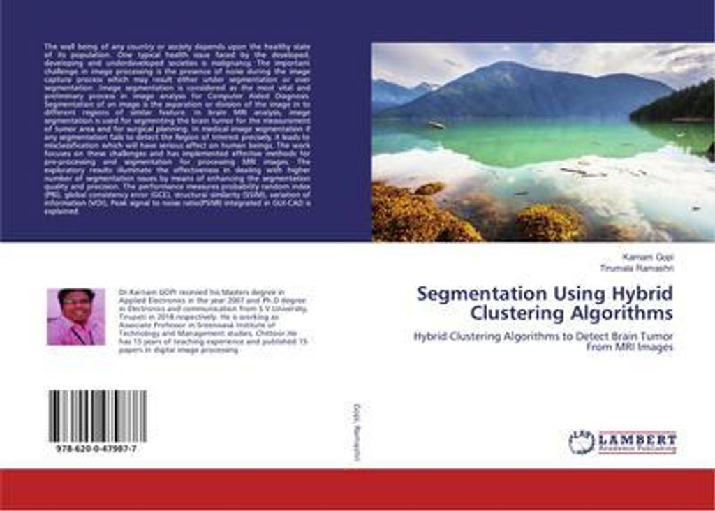 Segmentation Using Hybrid Clustering Algorithms