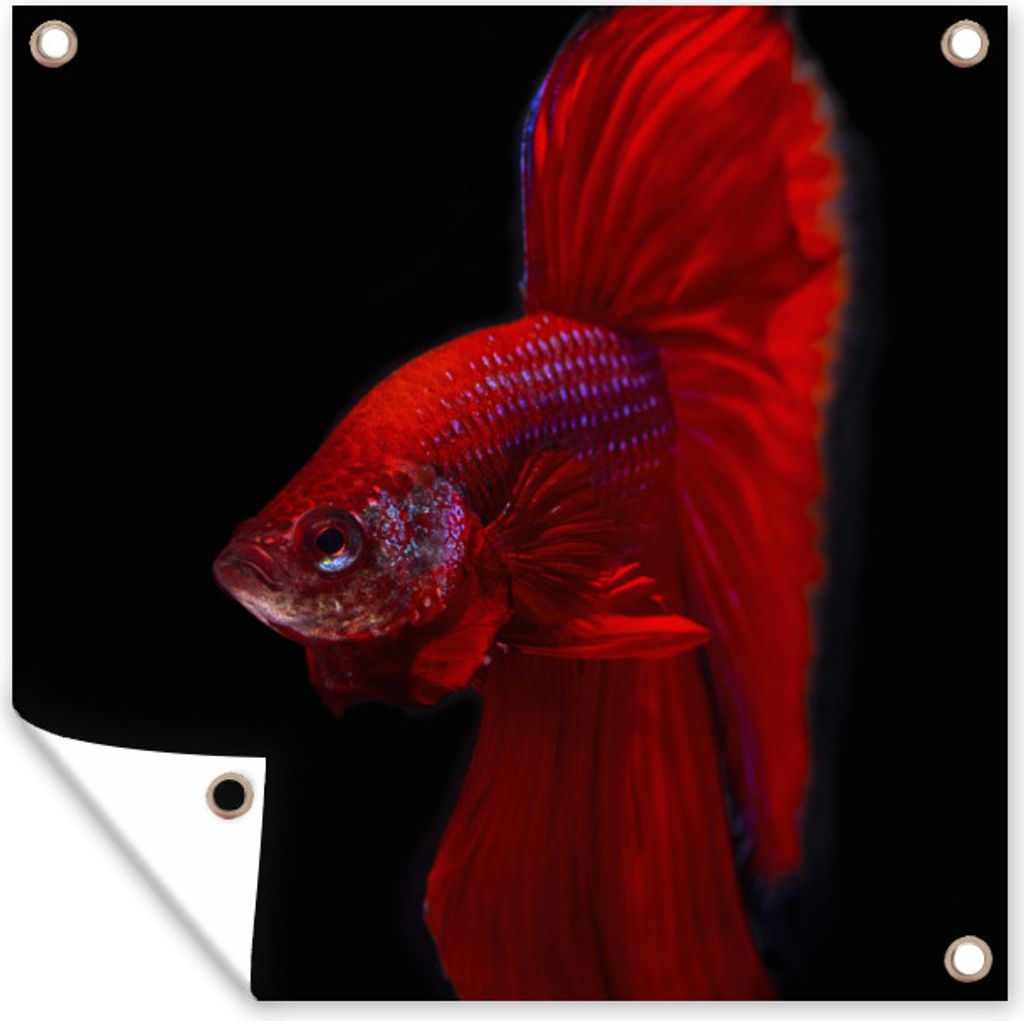 MuchoWow 50x50 cm Outdoor-Poster Gartendeko Sichtschutz Garten Poster für den Garten Fische - Tiere - Rot