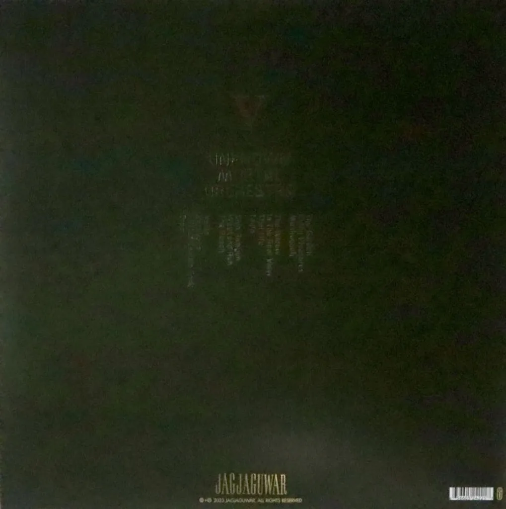 Unknown Mortal Orchestra V Double Vinyle Bleu Édition Limitée 2 LP - 2