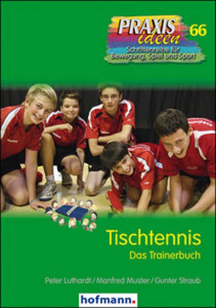 Mini table de tennis de table pour petits espaces avec pieds pliables