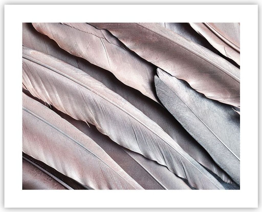 Poster - Poster ohne Rahmen - Federn Flügel Feder - 50x40 cm - Wand Bild - Wanddeko - Wandbilder - Kunstposter - Wandposter - Bilder - Kunstdruck ...
