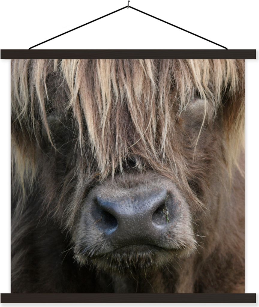MuchoWow Textilposter Schottisches Hochlandrind - Braun - Nase 120x120 cm mit schwarzem Rahmen - Aufhängungsset